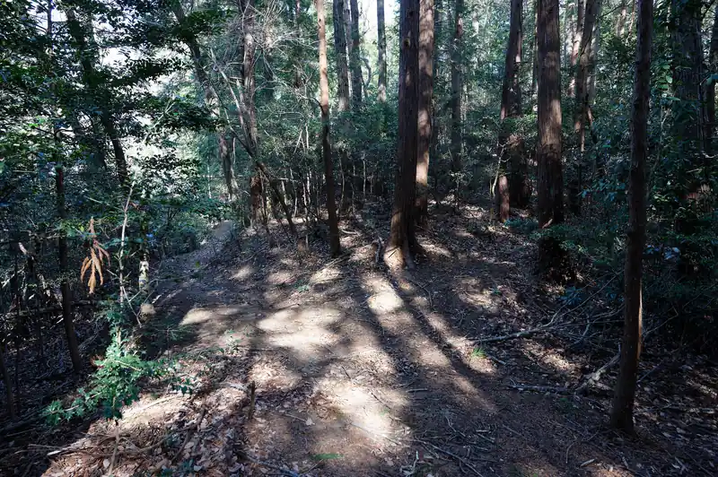 ところどころ変な分岐もありますが、もはや一本道と言っていいくらいです。