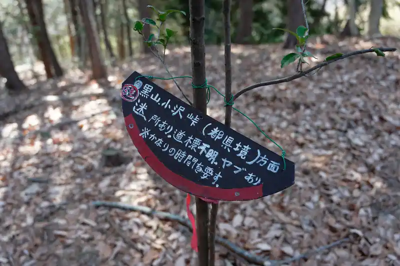 道標あり。あまり評判の良い道ではありませんな、成木尾根は。