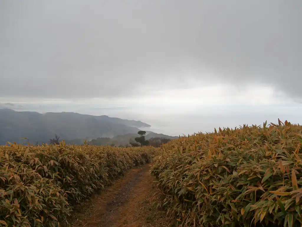 振り返ると海。
山に登って海が見えるって、なんだか新鮮だ。