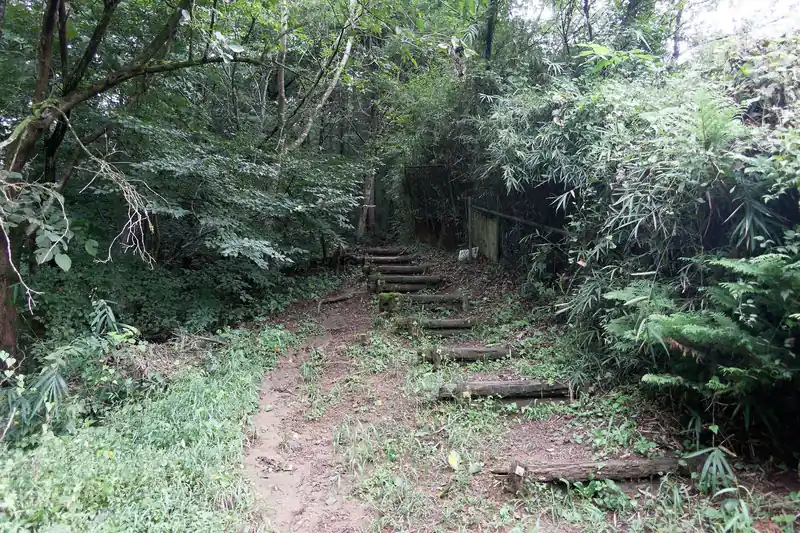 最初は若干粘土質でよく滑る坂道。