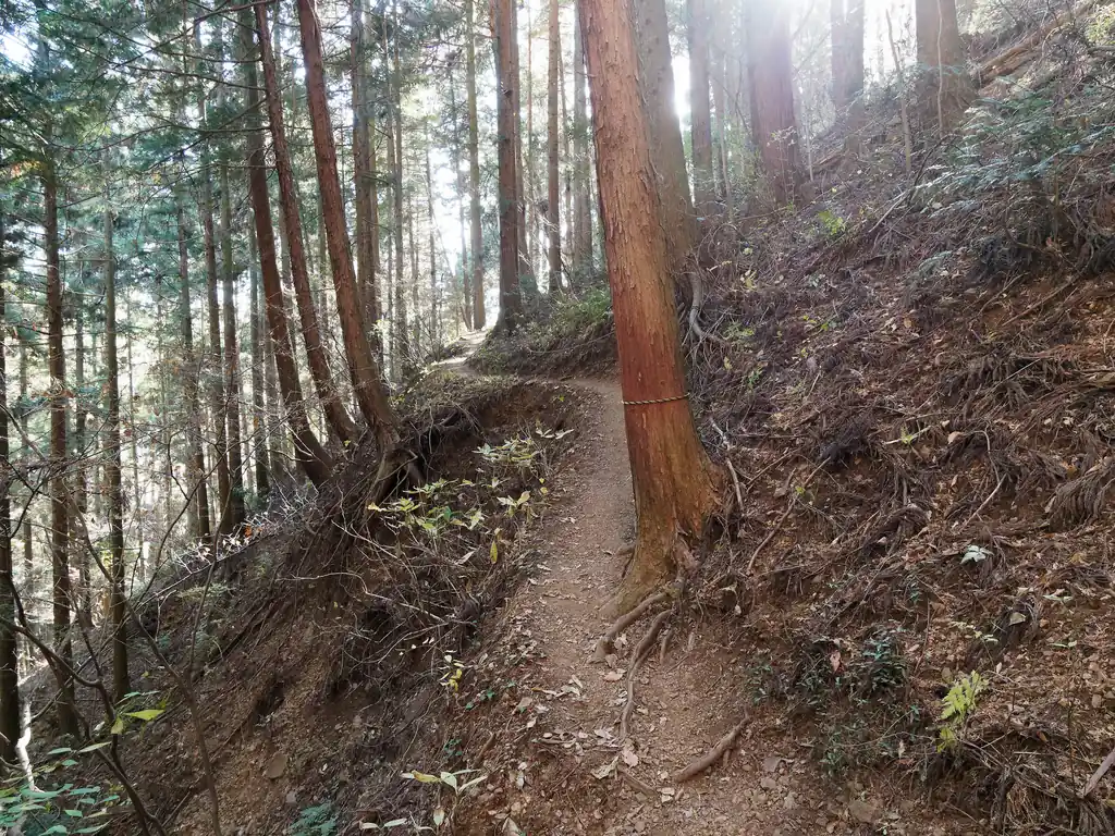 結構降りてくると、斜面につけられた狭いトラバース道になる。
ここはロープがつけられていたけど、ロープなしでも全然歩ける。安心仕様はたぶん、このルートで登る人が多いからなんだろうなと思う。