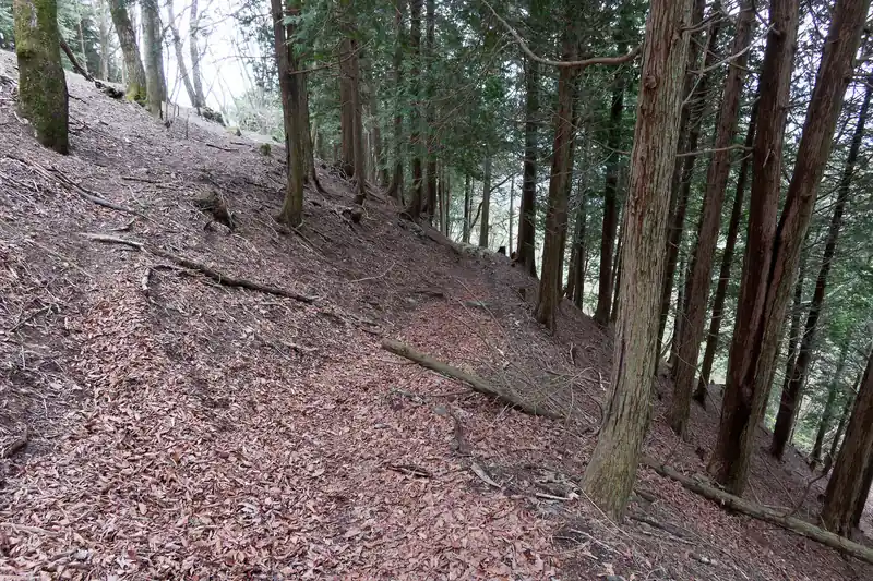 六ツ石山から石尾根に戻ってきて下っていきます。