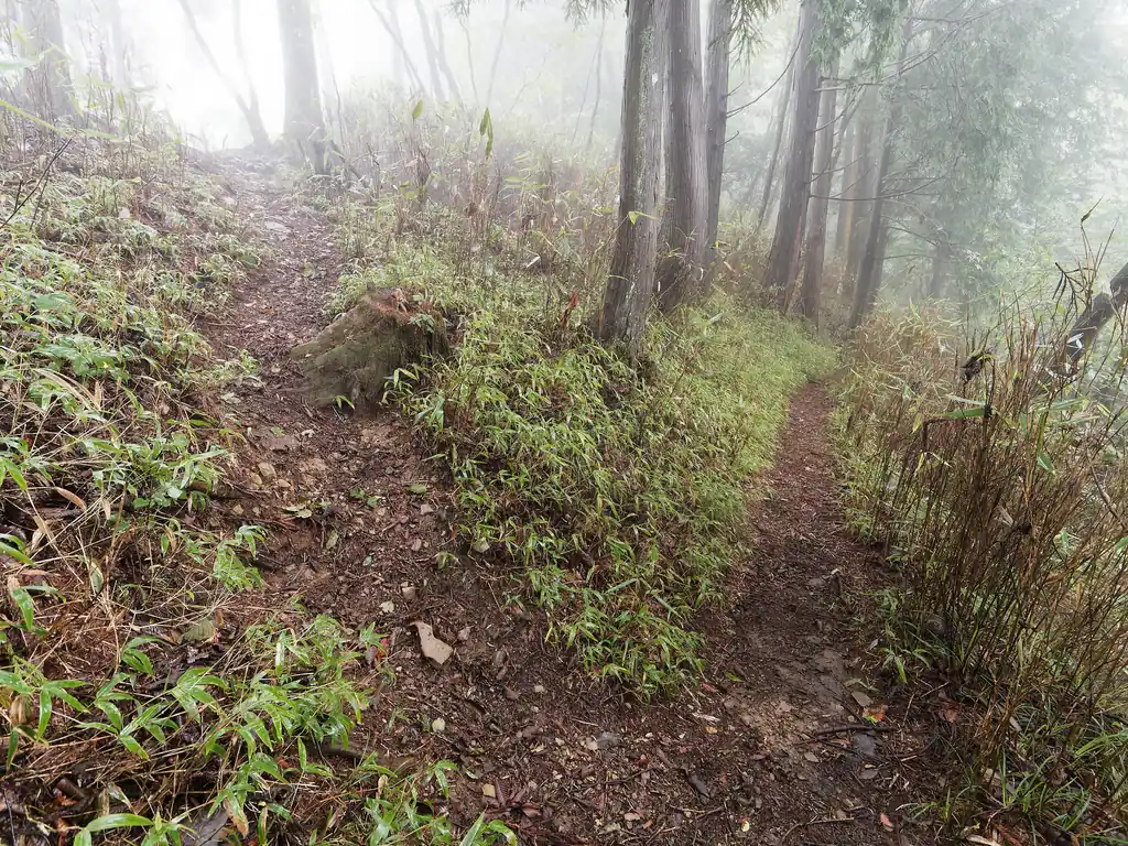 道を道なりに歩いていくと大岳山荘のところに出ます。
私は今回は大岳山に直登するので、途中の踏み跡で左に入り、尾根を歩く。