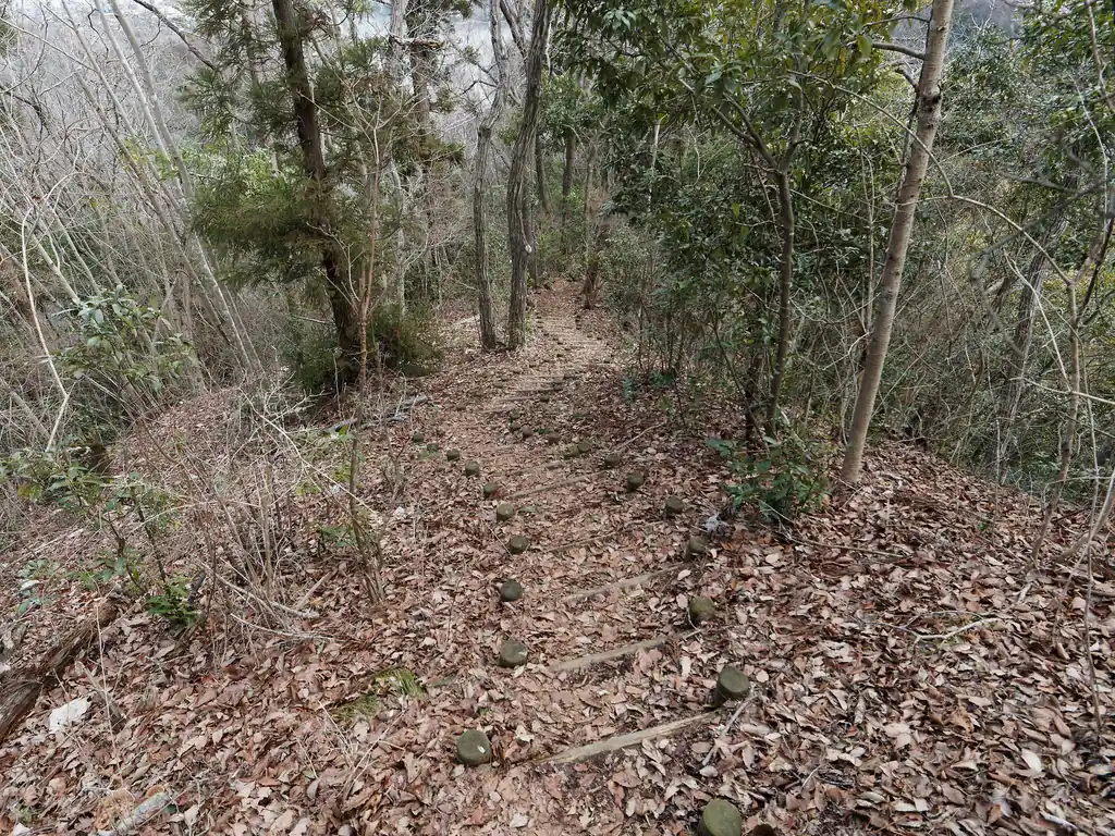 さてさて、宝山からの下りが気になるところ。
この先にえげつない下りの崖があるはずなのだが…。
下り始めは階段になっていて歩きやすい道ですよアピールがされているが…。