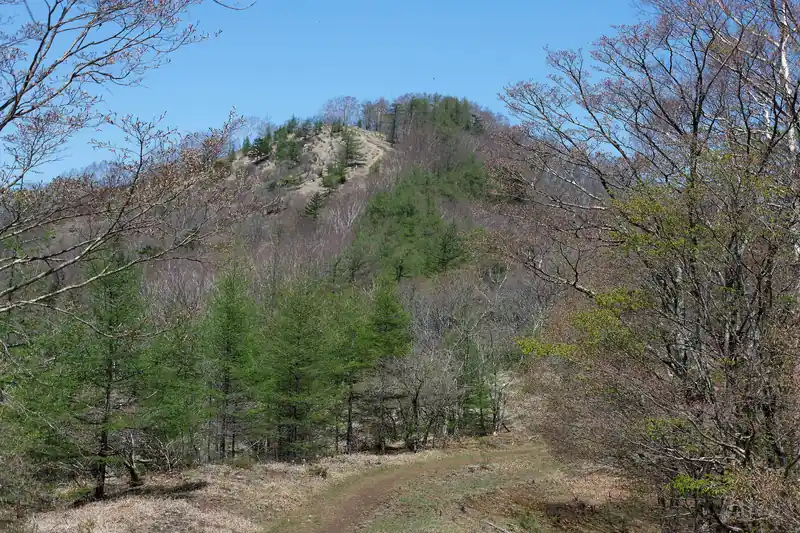 ようやく正面に鷹ノ巣山が見えた。まだこれだけ登らないと行けないのかと思うと辛い。