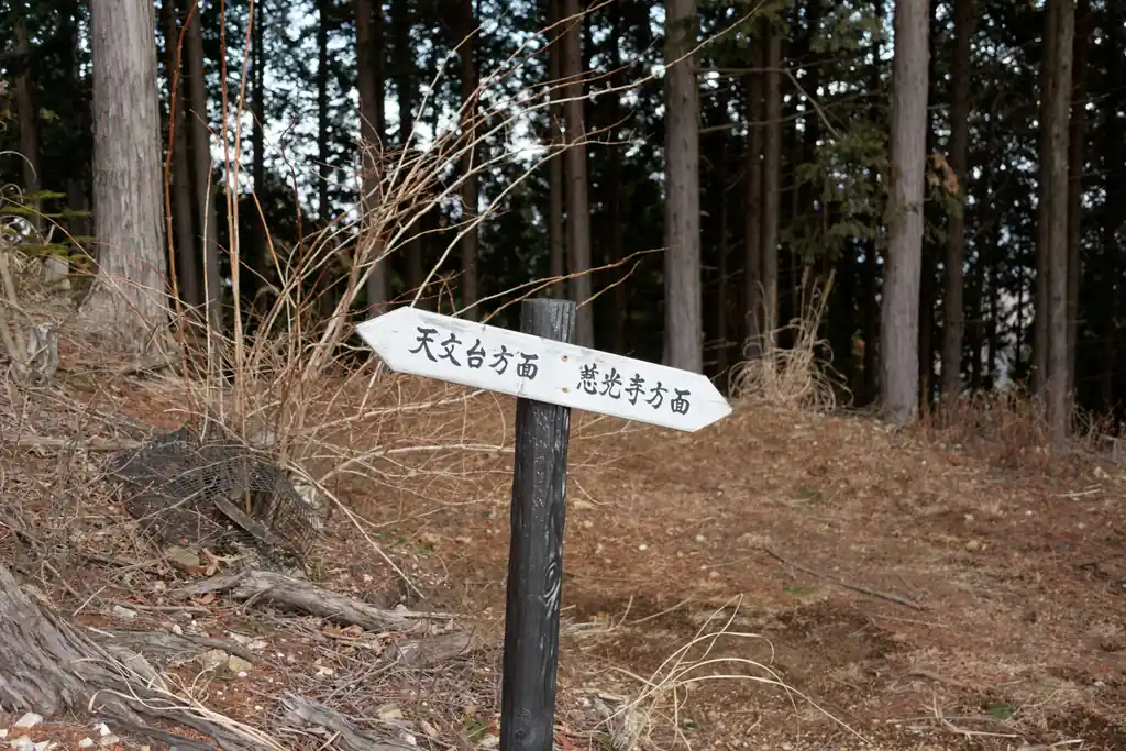 なお、このコース、頻繁にこんな感じの指導標があるので道に迷うことはないと思います。

道も明瞭だし。それでも何かしらの地図は必携ですが。