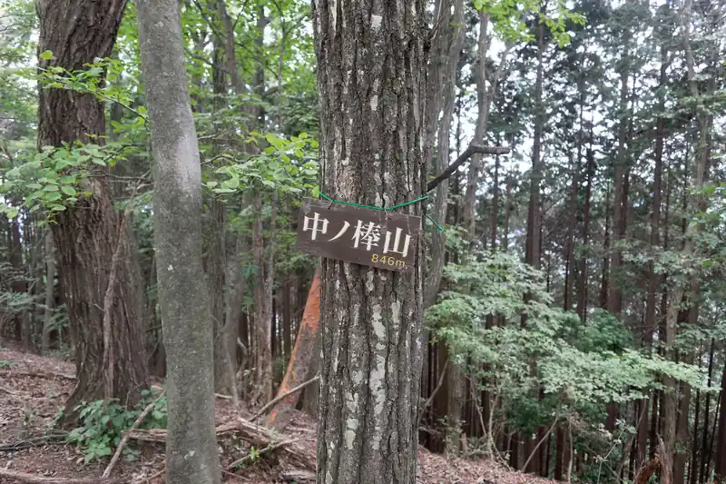 道路を横切って登山道へ戻り、中ノ棒山。
これもそんなに山頂という感じはなく、登山道の途中にぽつんと山頂標がある程度のもの。
