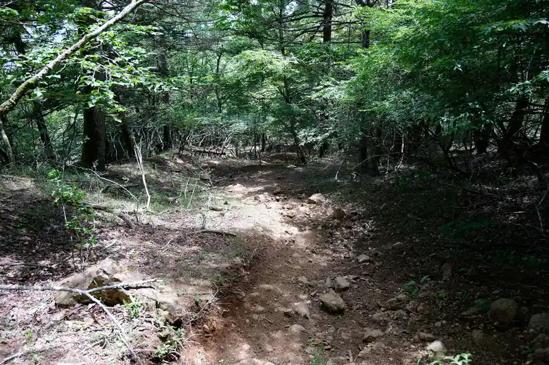 木無山から一気に下る。
このあたりは岩が転がっていることもあり、若干歩きにくい。