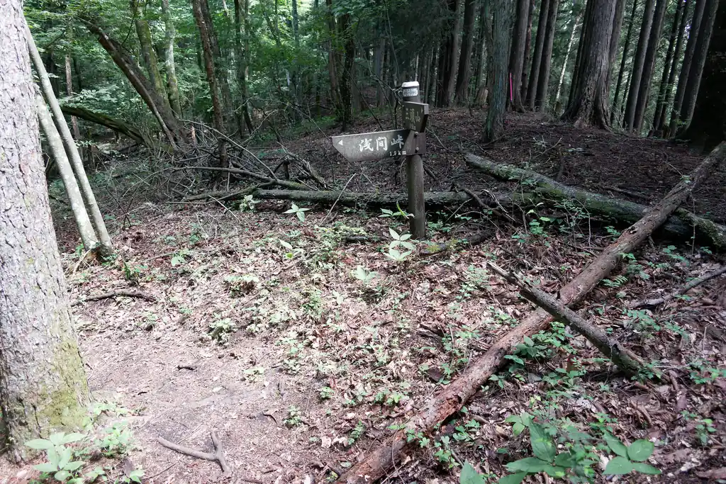 待ってました浅間峠の指導標