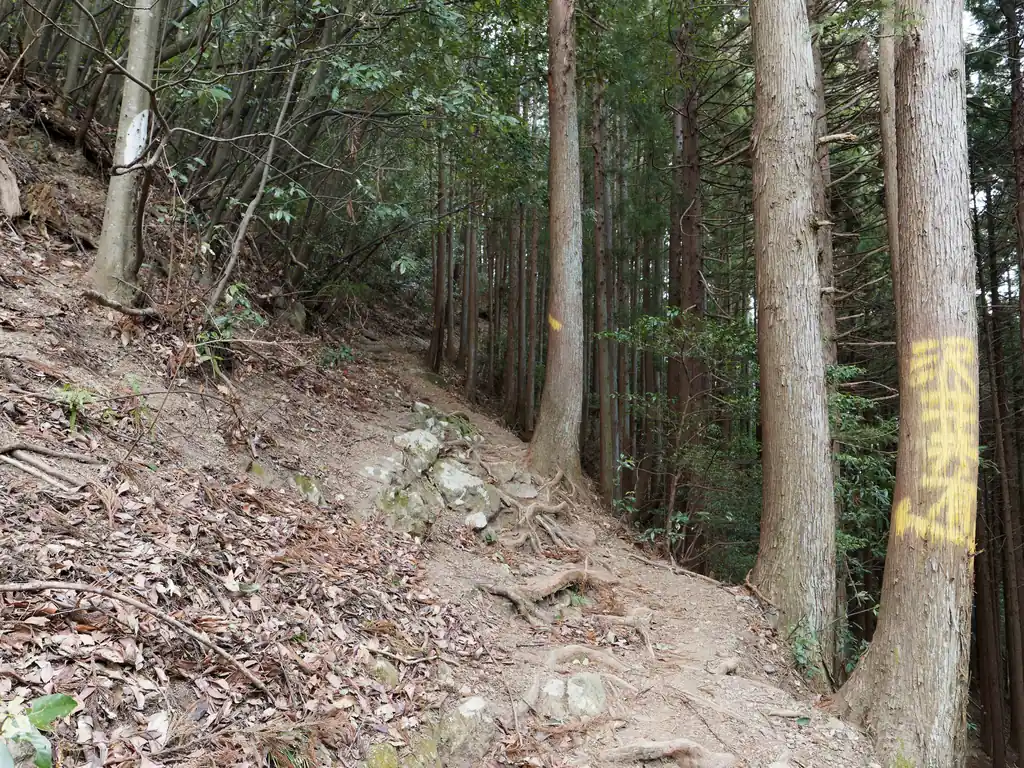 なんだか惣岳山らしい露岩の目立つ道になってきました。
