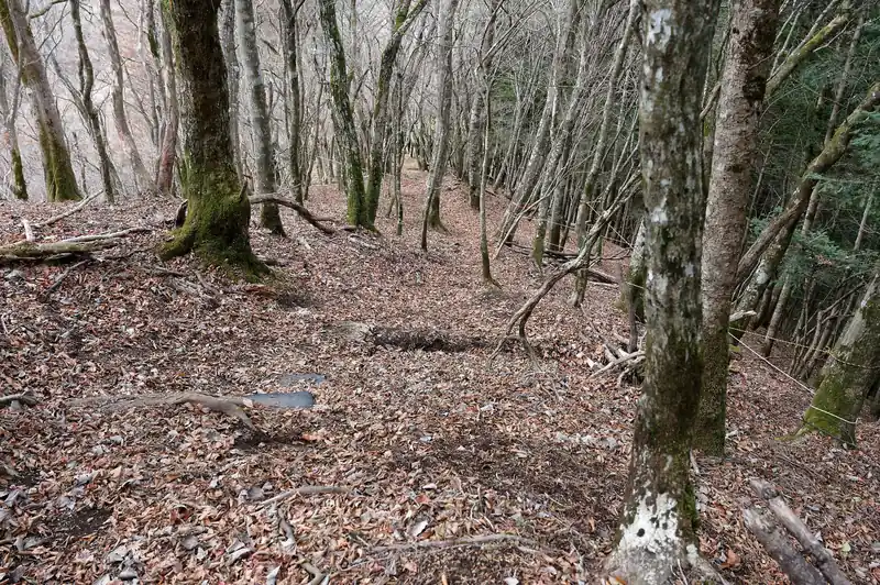 下っていきます。
写真には白いロープが写っているんですが、細いロープなので、お助けロープというより、道迷い防止のロープのようです。
確かにこのあたりはなだらかでどこでも歩けそうに見える。