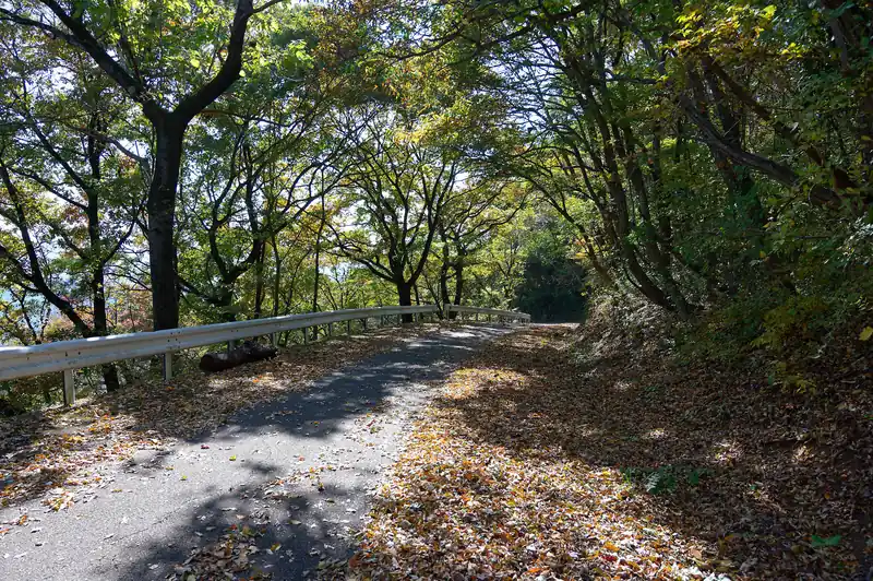 舗装路とはいえ、なかなか良い雰囲気の道です。