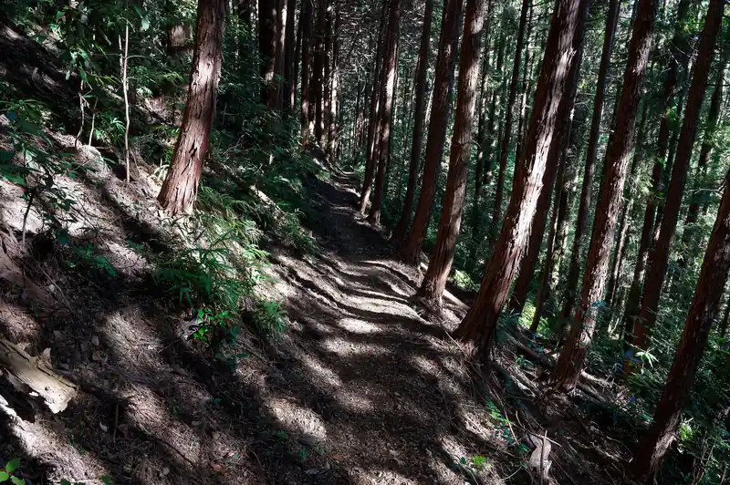 そのまま道なりに歩いていくと…