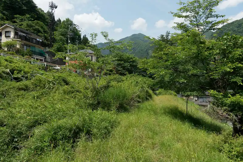 その先は雑草が生い茂っているが、雑草が踏み固められた一本の線が続いている。