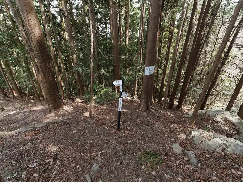 ここで分岐。
丸屋の頂きに登る道があるようだ。
もう既に疲れて山頂まで歩く余力がないので、とりあえず無視して進む。