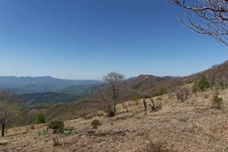 鷹ノ巣山手前の道は広く、なだらか。木も少なく見晴らしが良い。このあたりで休憩している登山者もそこそこいた。