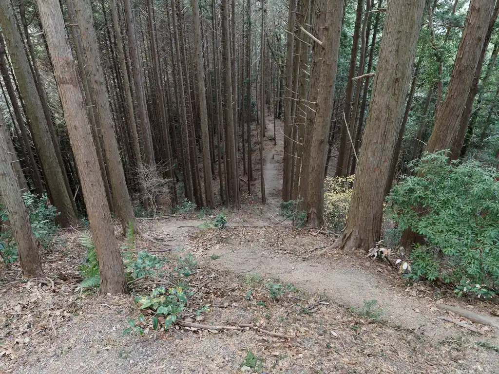 地味にアップダウンが多いものの、まあきつさはそれほどかな、と思う。