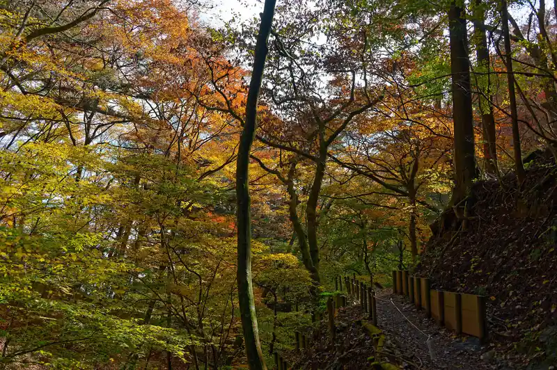 上の方は紅葉してますが、下はまだまだ緑。
しかしこのグラデーションもまたキレイです。