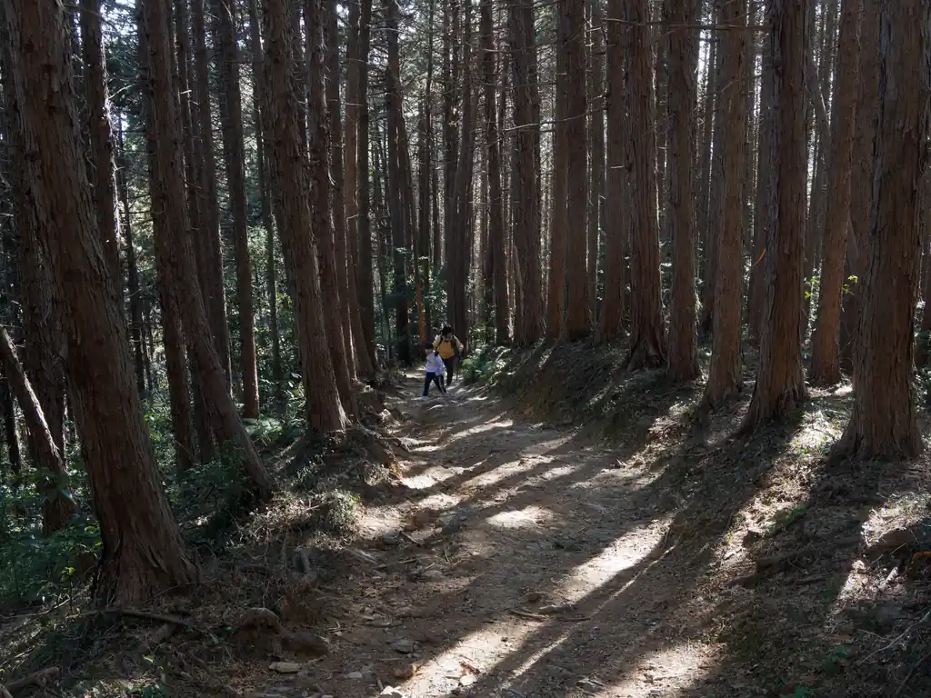 物見山・日和田山あたりは道が綺麗で体力的なきつさはほとんどないので子供連れのハイカーや犬の散歩ついでに歩いているような人も多い。