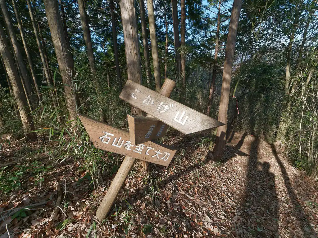 で、一本松山から降りてきて、この三叉路。
ここから、こかげ山方面へ歩く。