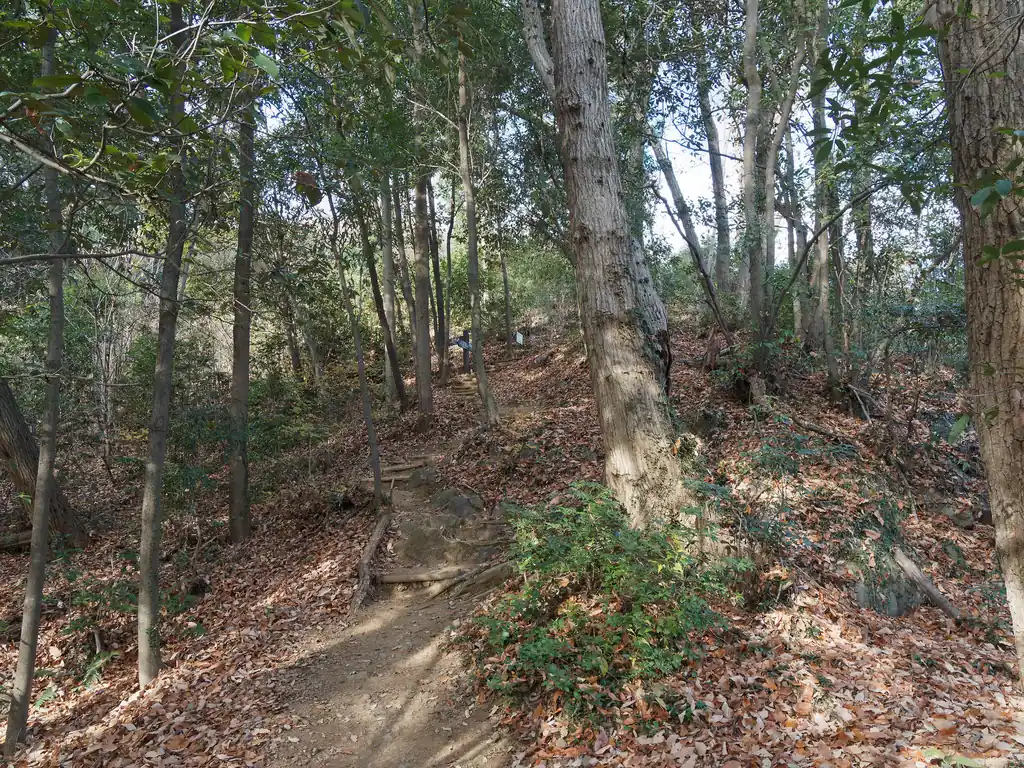階段を登り終えると、また横に登山道が続く。ここまで来れば山頂はもうすぐそこである。