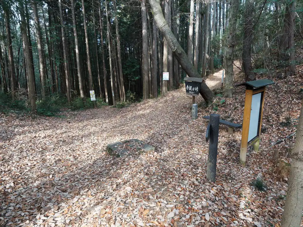 赤根が峠に到着。
このあたりは熊目撃情報や、不審者（全裸の男性）の目撃情報がある峠である。