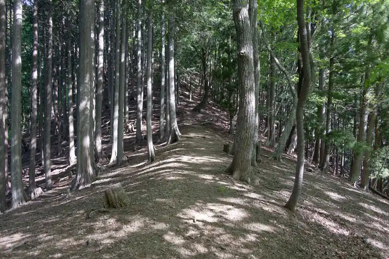 尾根に復帰。
ここからまた急坂区間となる。