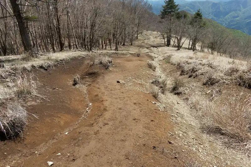 途中滑りやすそうなところを恐る恐る通過。