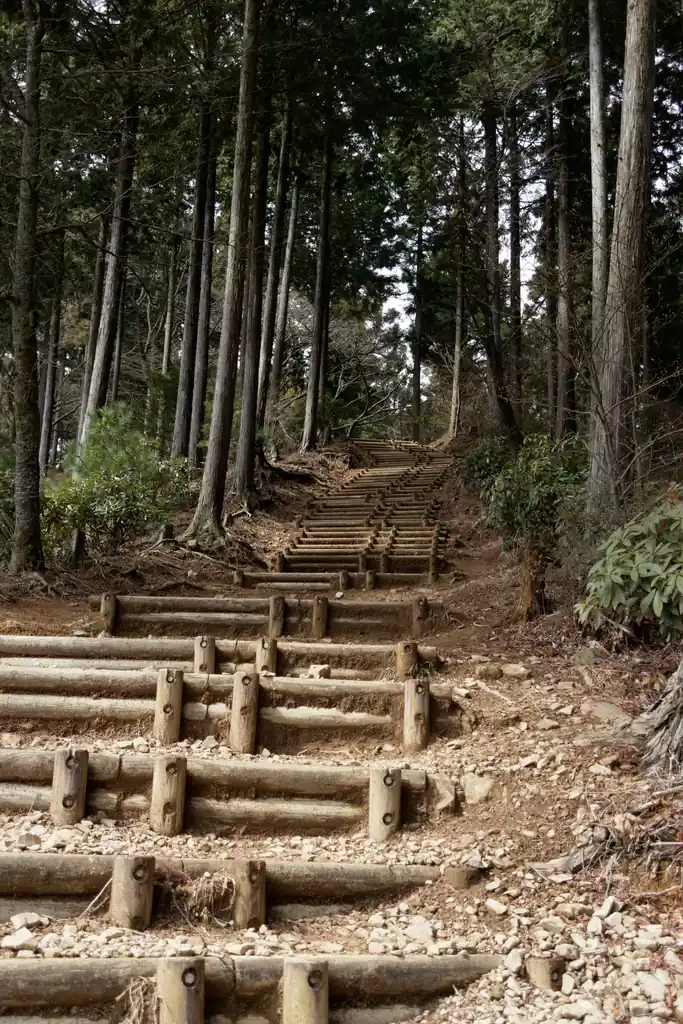 あとはちょっと登れば日の出山山頂なのだが、山頂手前の階段が地味にきいてくる。

連れは完全に戦意喪失していましたが、この階段、かなりステップが小さいので歩きやすいです。山でここまでステップの小さい階段は見たことない。