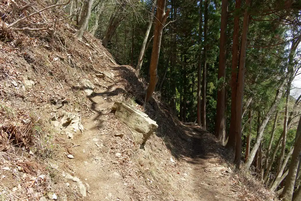 これは鍋割山とロックガーデンの分岐点、芥場（だったと思うのだが、もうちょっと進んだところかも？）。

左が鍋割山、右がロックガーデン。私はついでなので鍋割山に寄っていきます。ロックガーデンも気になる。