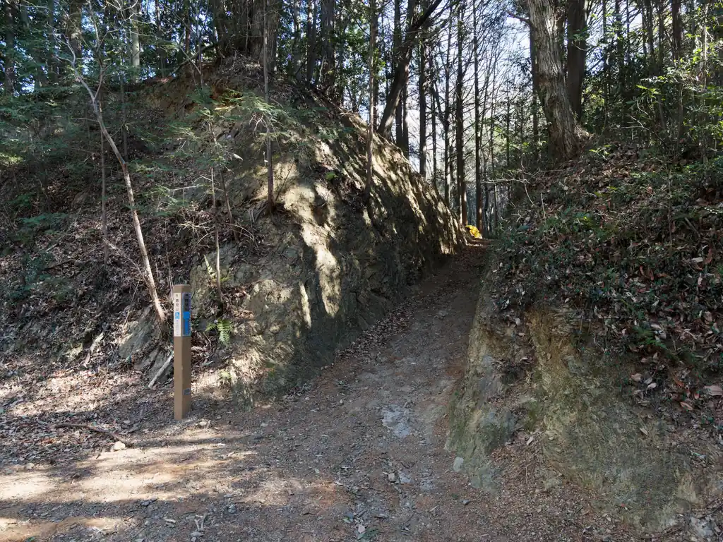 北向地蔵から先は、より一層歩きやすい道となる。
物見山・日和田山方面へ向かうので切通を歩いていく。