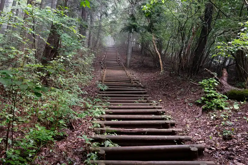白石峠から再び登山道へ。
きつい階段を登って行く。