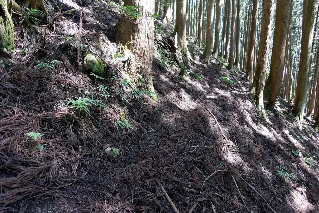 まあなんとなく踏み跡がわからんでもないが…
