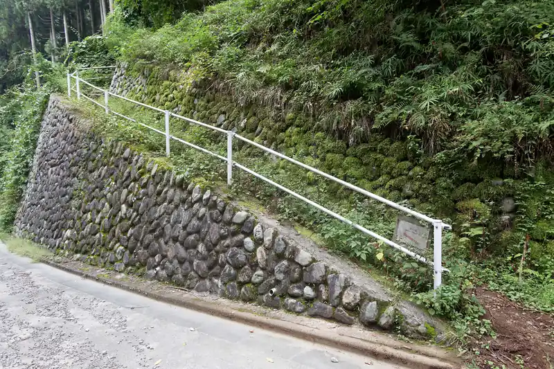 その後、写真の坂道から林道に下りてきて