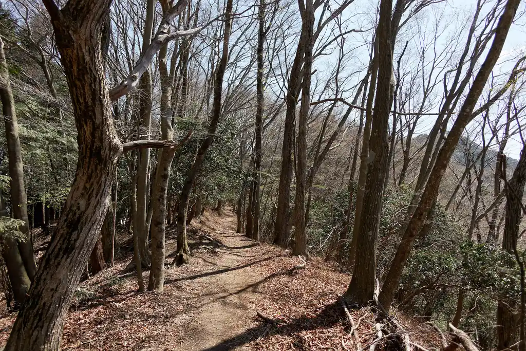 この道は明るい自然林でなかなかよい。右手には富士山が見えています。奥多摩っていいなあ～