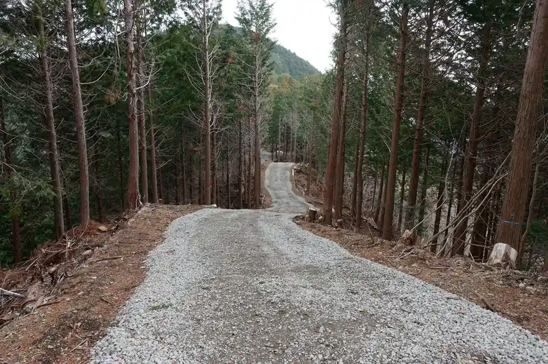 シダンゴ山へは向かいの砂利道を進みます。伐採した木を運びだすための道なんでしょうか。こんなにキレイに整備された道は見たことないかもしれません。