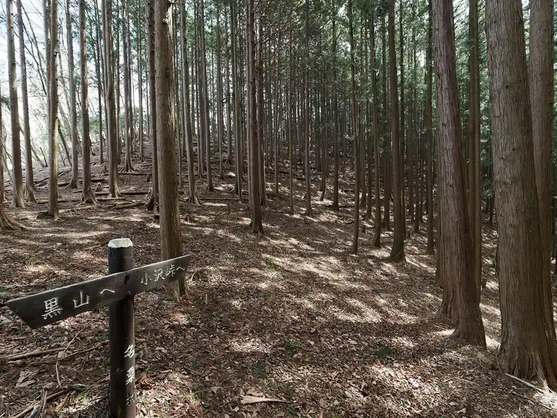 長久保山で休憩したら小沢峠へ向かう。まだまだ先は長い。