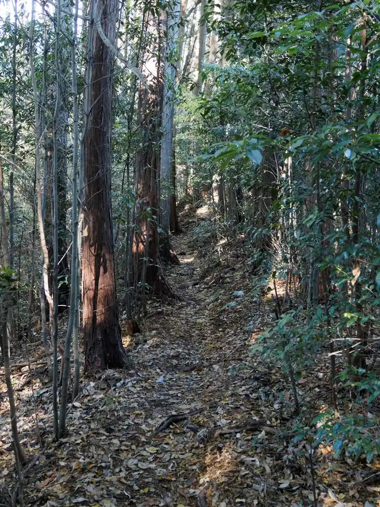 幕岩を通過すると、露岩の痩せ尾根っぽい道を進んで、鼻曲山頂。