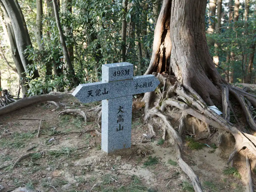 大高山に到着。標高493m。天覚山の標高が445mなので、ここが本日の最高地点です。