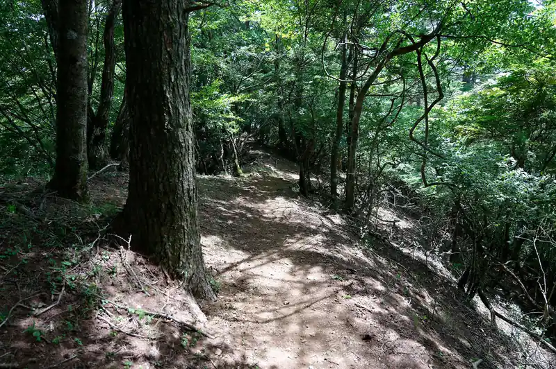 登り返しもほぼなく、2時間程度歩けばカチカチ山ロープウェイに到着する。