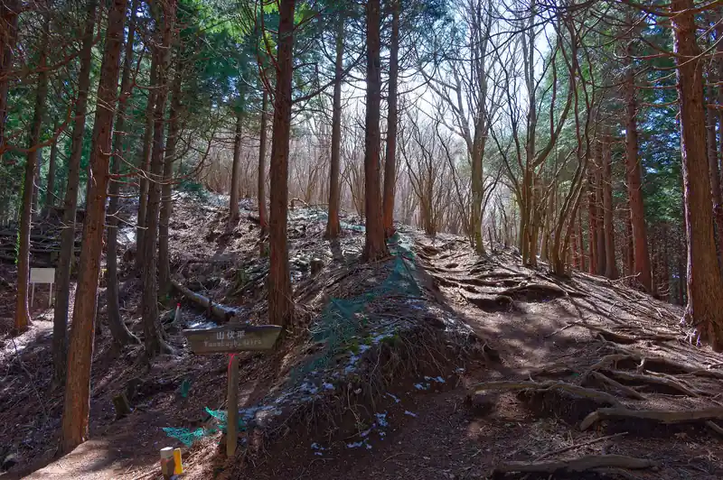 矢倉岳への道はこんな感じ。