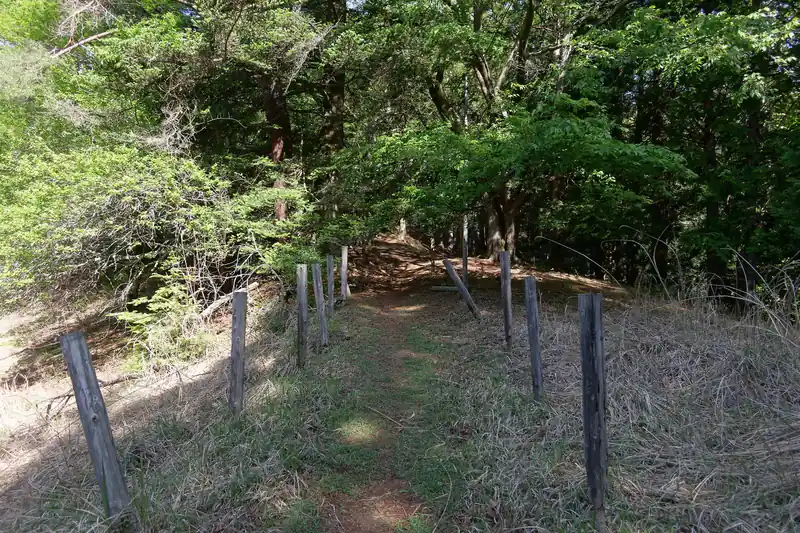 登山口に到着。この手前に温泉神社があるのだが、そのあたりを猿が我が物顔で歩いていった。