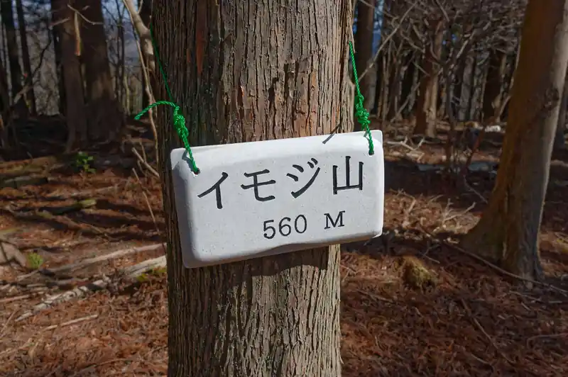 するとイモジ山に到着。