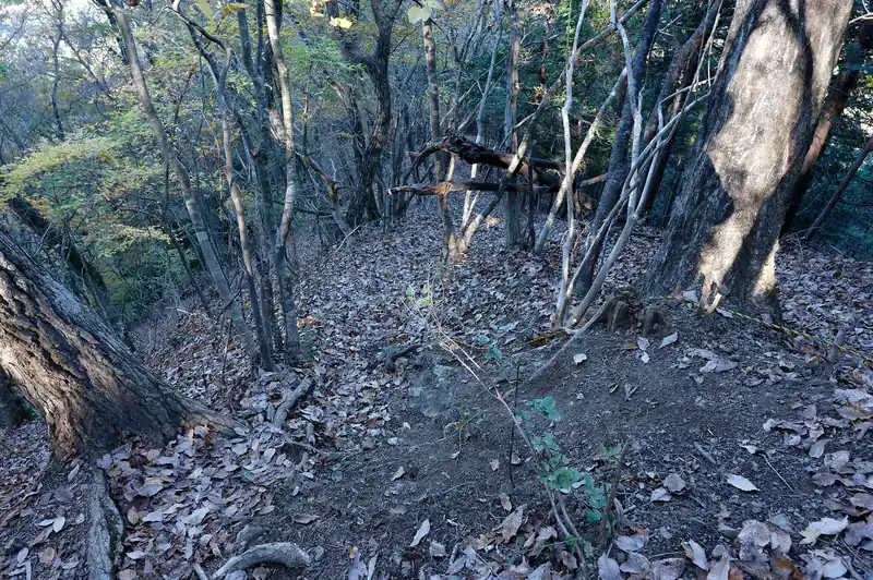 と、急に目の前に急登が現れました。
写真はある程度登って振り返って下の方を撮った写真です。
トラロープがわずかに張ってあるくらいです。登りは良いけど、これ降りるの怖すぎない…？