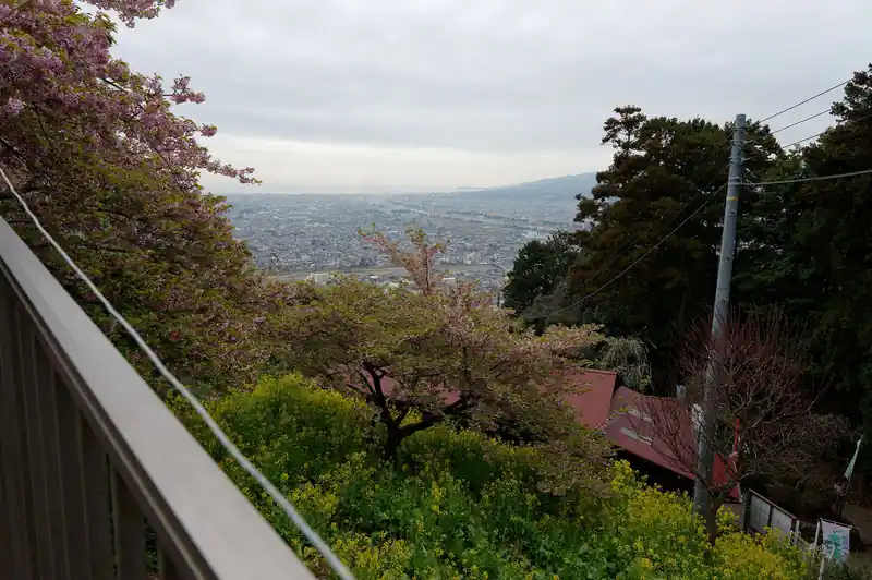 菜の花まつりも気になるけど、ここは少し見晴らしが良い。
生憎の天気ではありますが、相模湾も見えております。