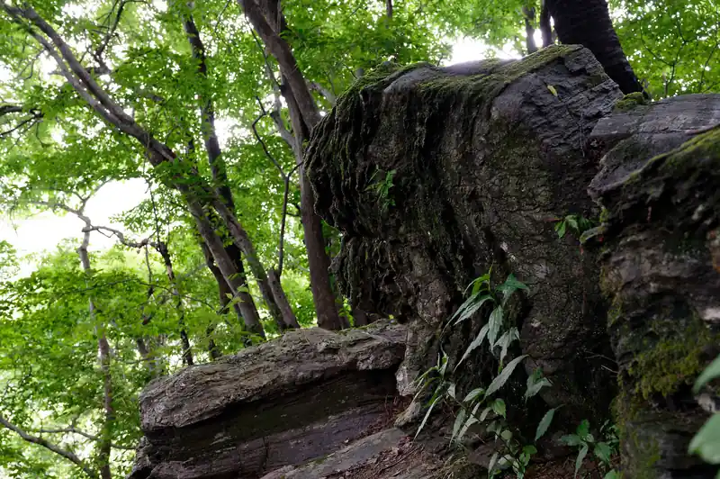 獅子岩。何度も見てるけど、獅子に見えるかと言われると微妙なところですな。撮り方が悪いという話もありますが。