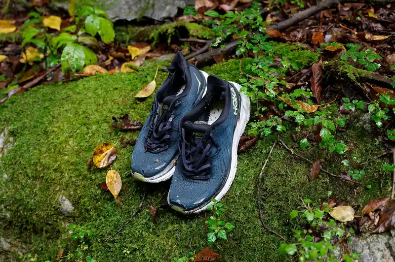 さっきの木橋を渡り終えたところにHOKAのトレランシューズ。
サイズ的に女性物かと思ったが、一体何があったのか。