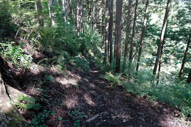 よくこんな道マウンテンバイクで下れるなあ。普通に歩いててもちょっと緊張感ある狭さの道もあるのだが。
