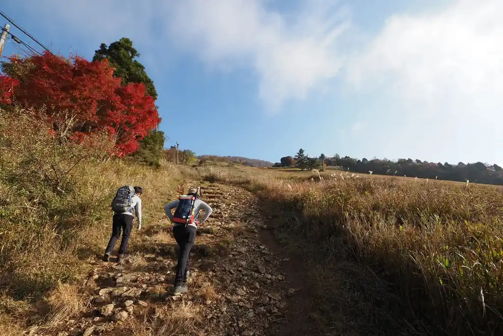 伊吹山の登山道は小岩が多く、少し歩きにくさがある。このあたりではまだ伊吹山本体は見えないし、山道というより、アスファルトを歩いているような感覚で、面白みは薄い。