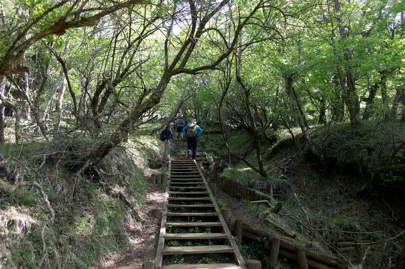 大倉尾根は堀山の家まではウォーミングアップ。ここから登山道の斜度が一段あがり、花立山荘まできつくなる。